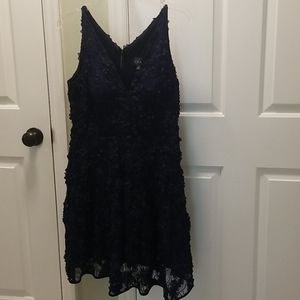 Navy Lace Party Dress